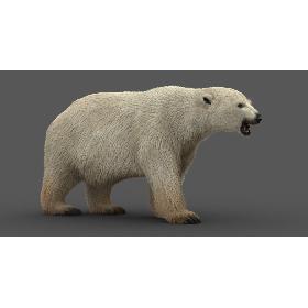 Toyota Supra 2020 3D model